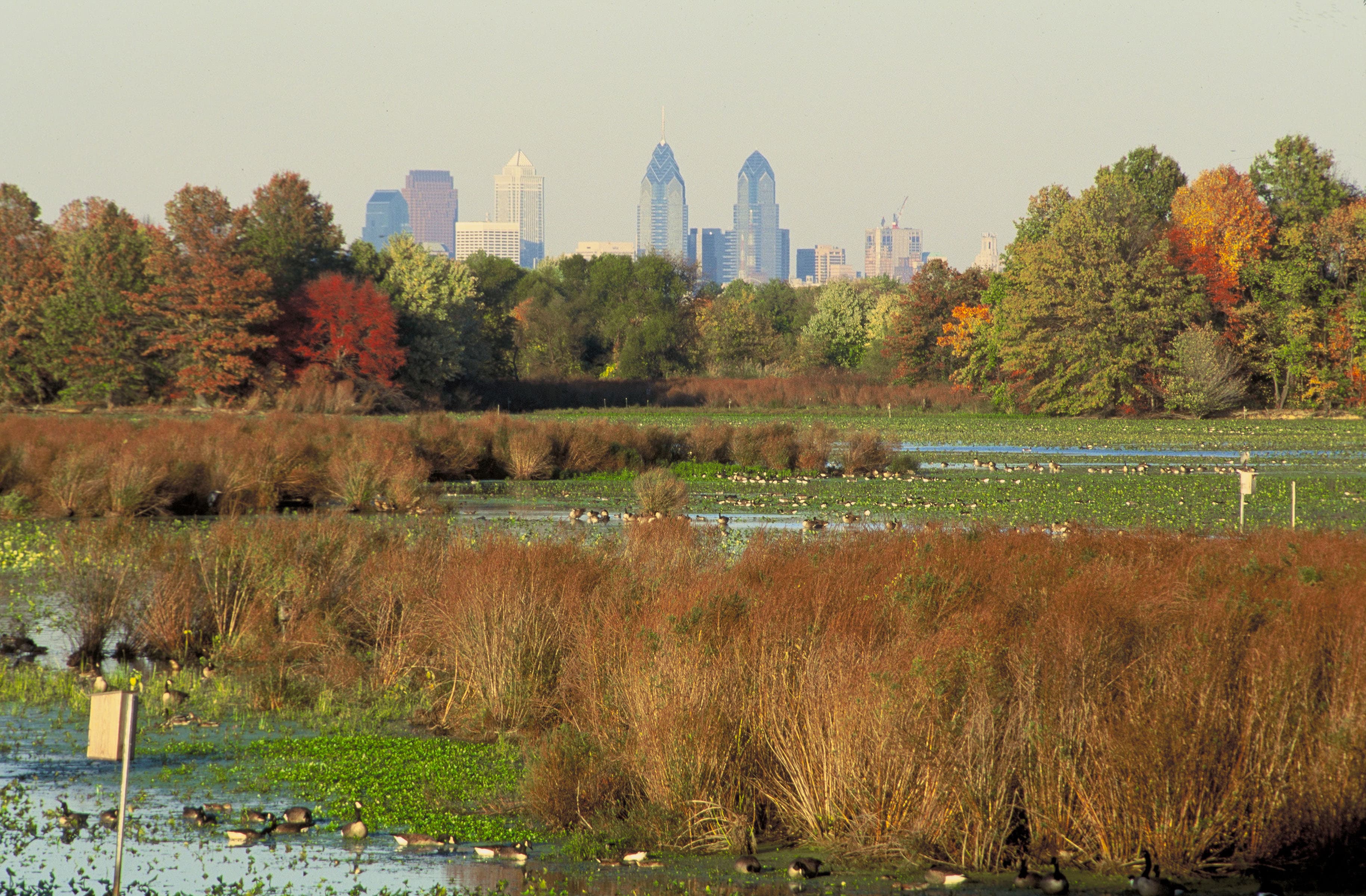 John Heinz National Wildlife Refuge at Tinicum